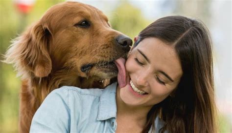 pornos con perros|Perros follando a mujer zoofilia